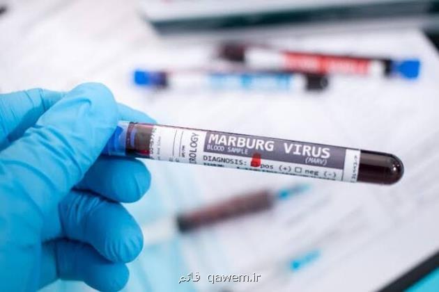 اخطار کشورهای عربی به مسافران در رابطه با ویروس ماربورگ