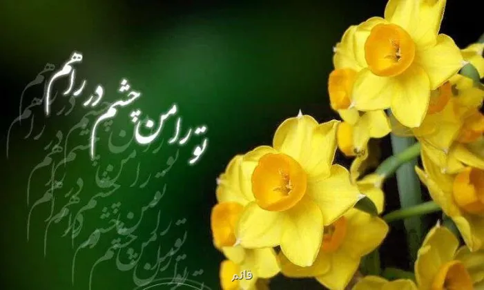 آیا امام زمان (عج) روز جمعه ظهور خواهند کرد؟