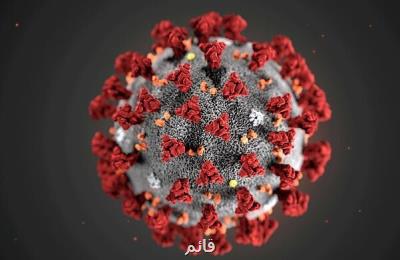 با دعا مقابل ویروس كرونا احساس آرامش می كنم