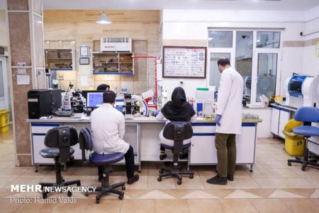 برنامه وزارت علوم برای افزایش جذب و استخدام پژوهشگر پسادكتری