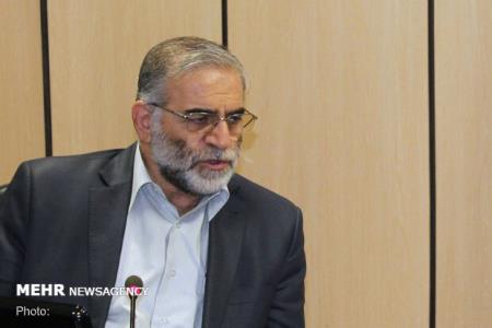 شهریاری و علیمحمدی مجذوب فخری زاده بودند
